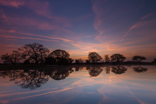 Mogshade Pond, Pre-Dawn